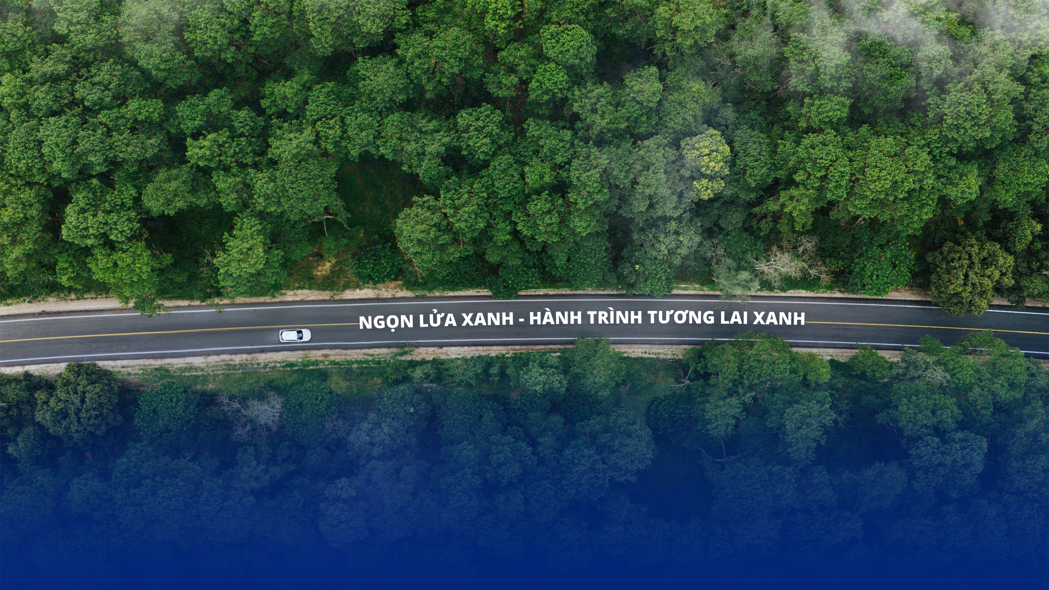 Tầm nhìn